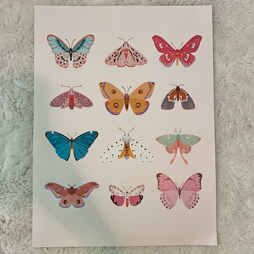 12 x 16 Butterfly Wall Poster Print